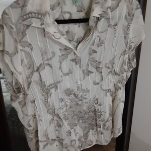 Cotton Top